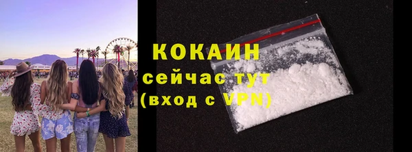 индика Снежинск