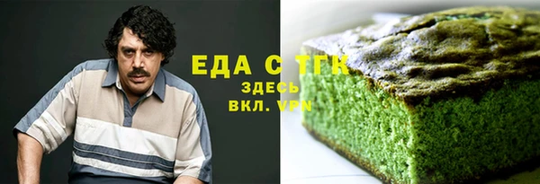 индика Снежинск