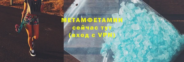 прущие грибы Снежногорск