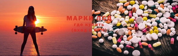 индика Снежинск