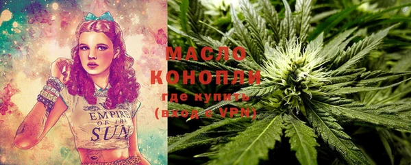 прущие грибы Снежногорск