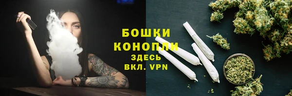 индика Снежинск