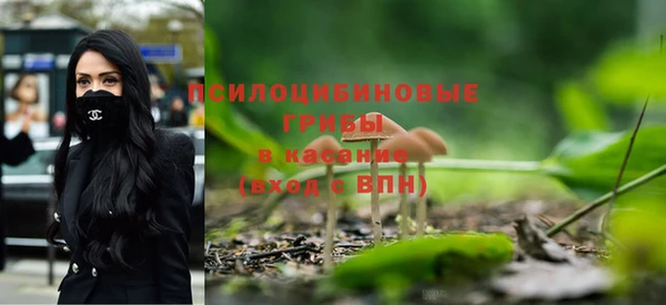 мяу мяу мука Слюдянка