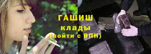 прущие грибы Снежногорск