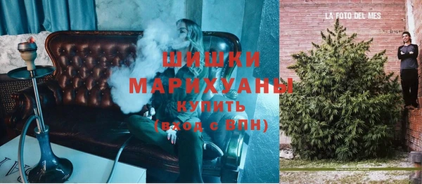 индика Снежинск