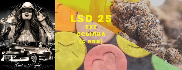 прущие грибы Снежногорск