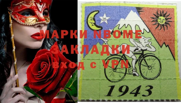 прущие грибы Снежногорск